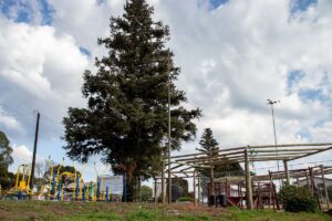 Como é Morar no Bairro Celulose