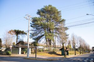Como é Morar no Bairro Moura