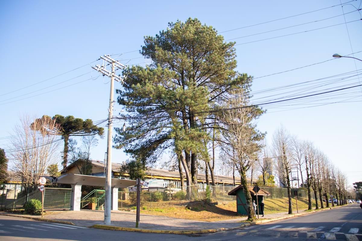 Como é Morar no Bairro Moura