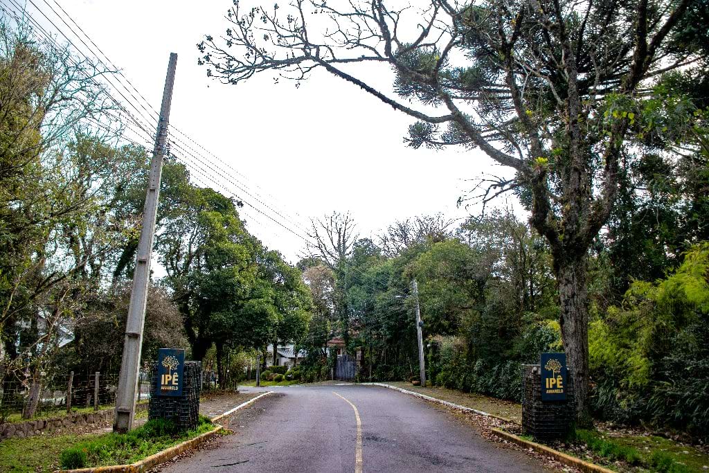 Morar no Bairro Ipê Amarelo em Gramado