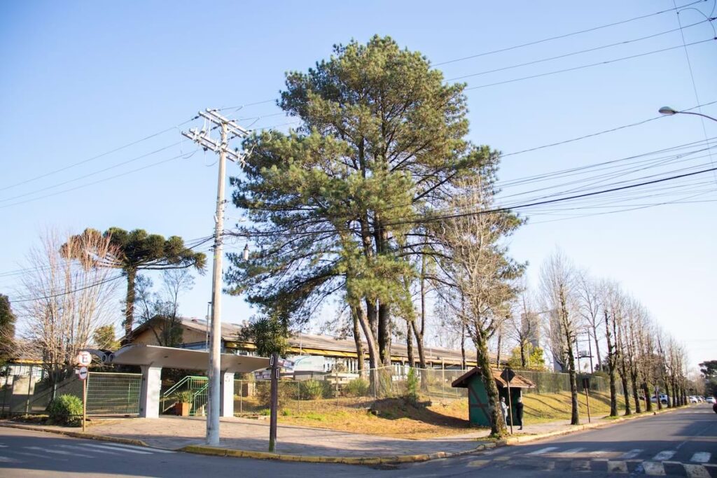 Casas a venda bairro MOURA em Gramado