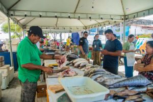 Feira do Peixe Canela