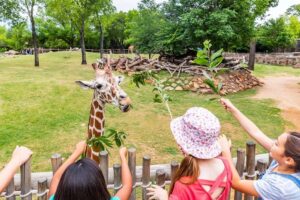 Melhores Zoológicos na Serra Gaúcha